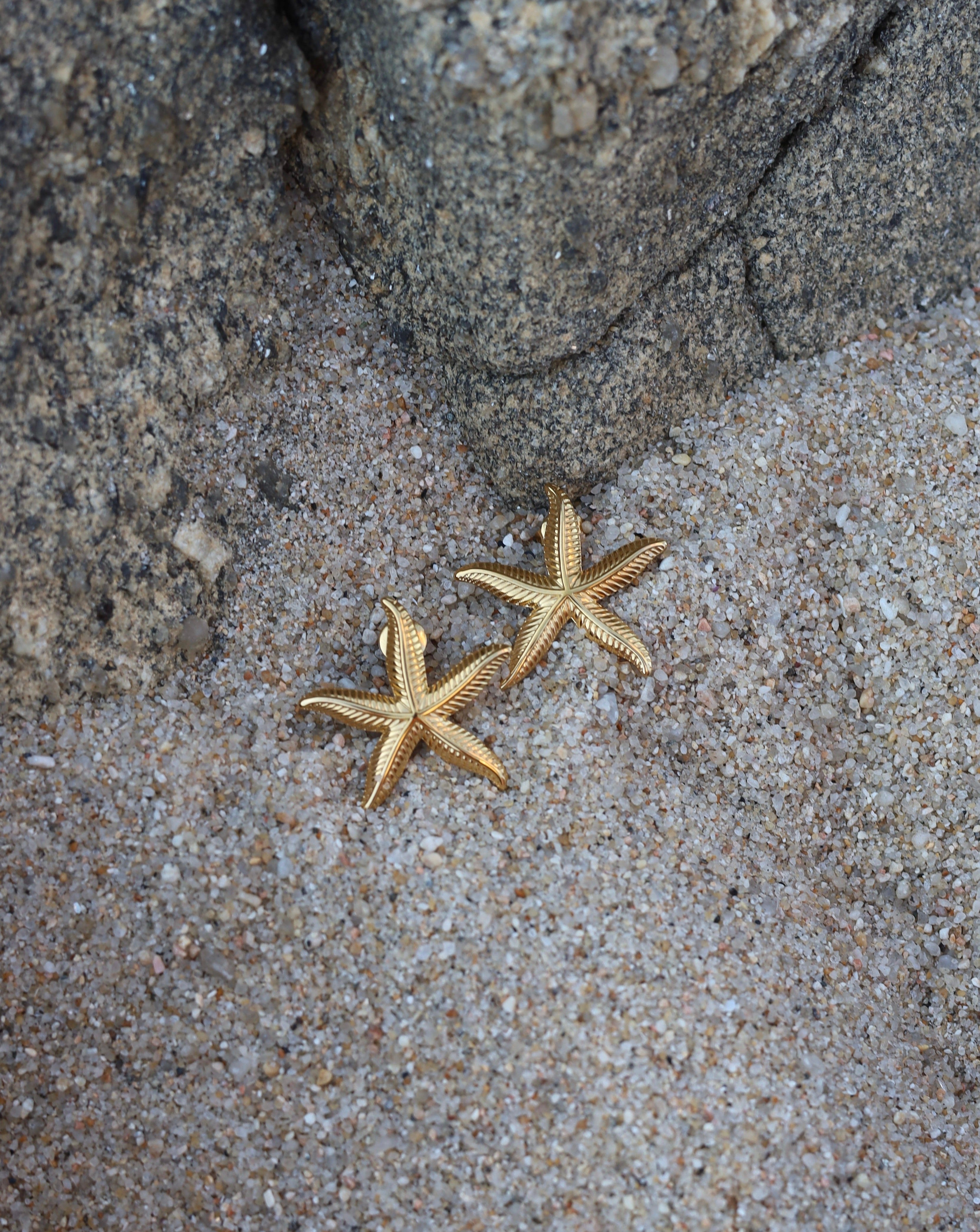 Brincos Estrela-Do-Mar