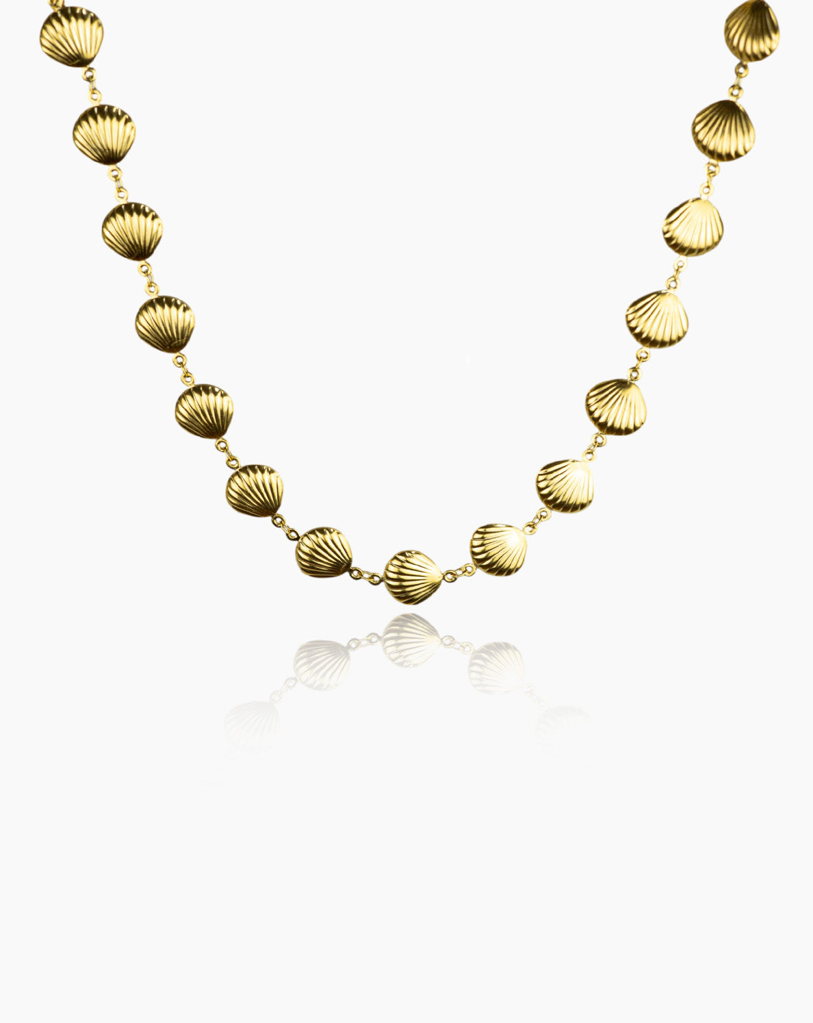 Colar Conchas