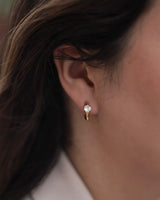 Argolas Ponto de Luz