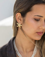Brincos Golden Star