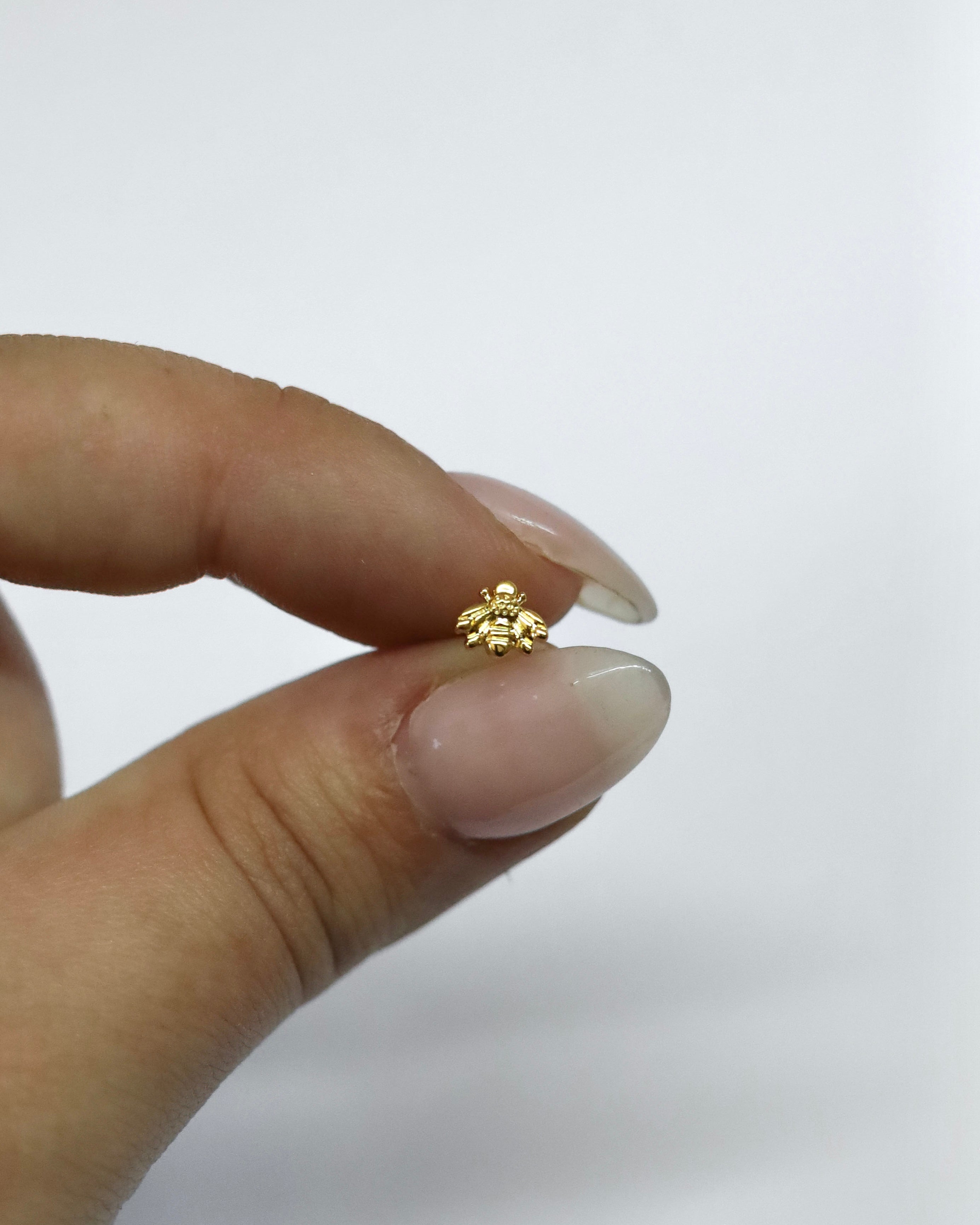 Piercing Bee