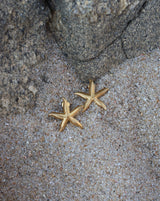 Starfish Earrings