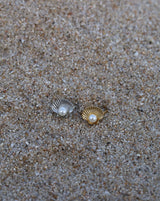 Beach Ring