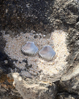 Shell Earrings
