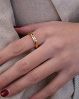 Anel Promise