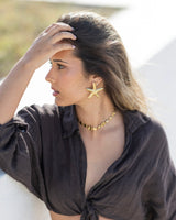 Brincos Maxi Star