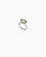 Beach Ring