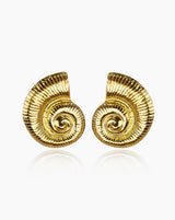 Brincos Maxi Curl