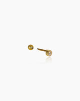 Piercing Brilho