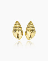 Cowrie Shell Earrings I