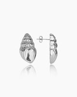 Cowrie Shell Earrings I