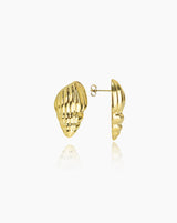 Cowrie Shell Earrings II