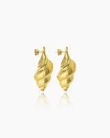 Cowrie Shell Earrings IIl