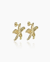 Brincos Golden Star