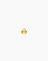 Piercing Bee