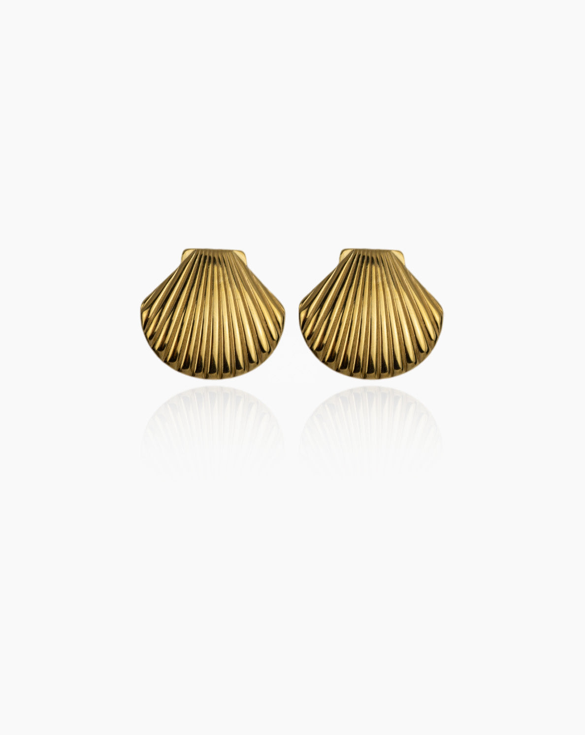 Shell Earrings