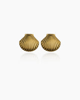 Shell Earrings