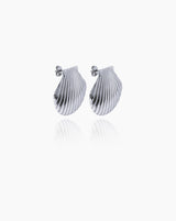 Shell Earrings